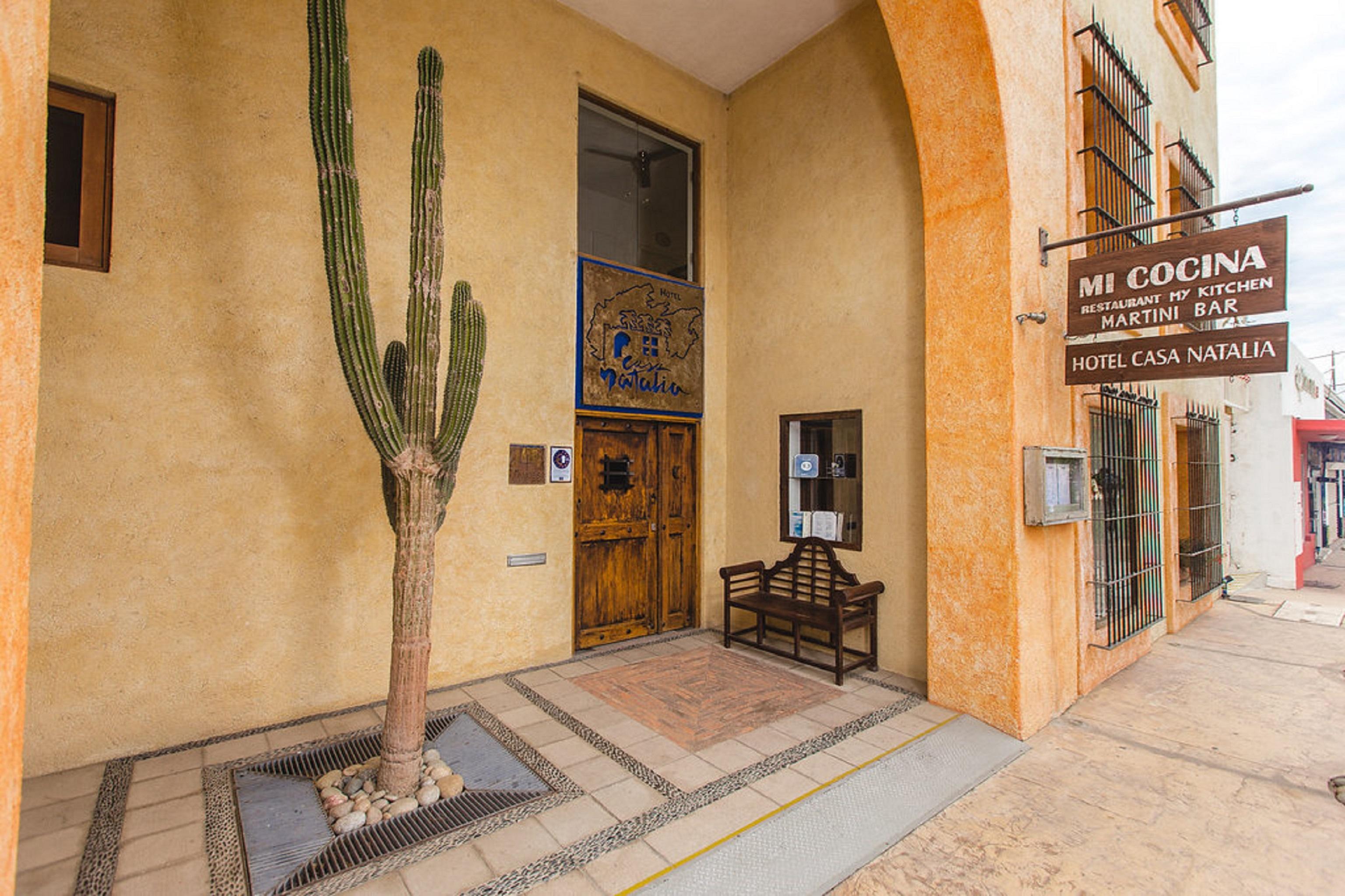 Casa Natalia Boutique Hotel Adults Only San Jose del Cabo Bagian luar foto