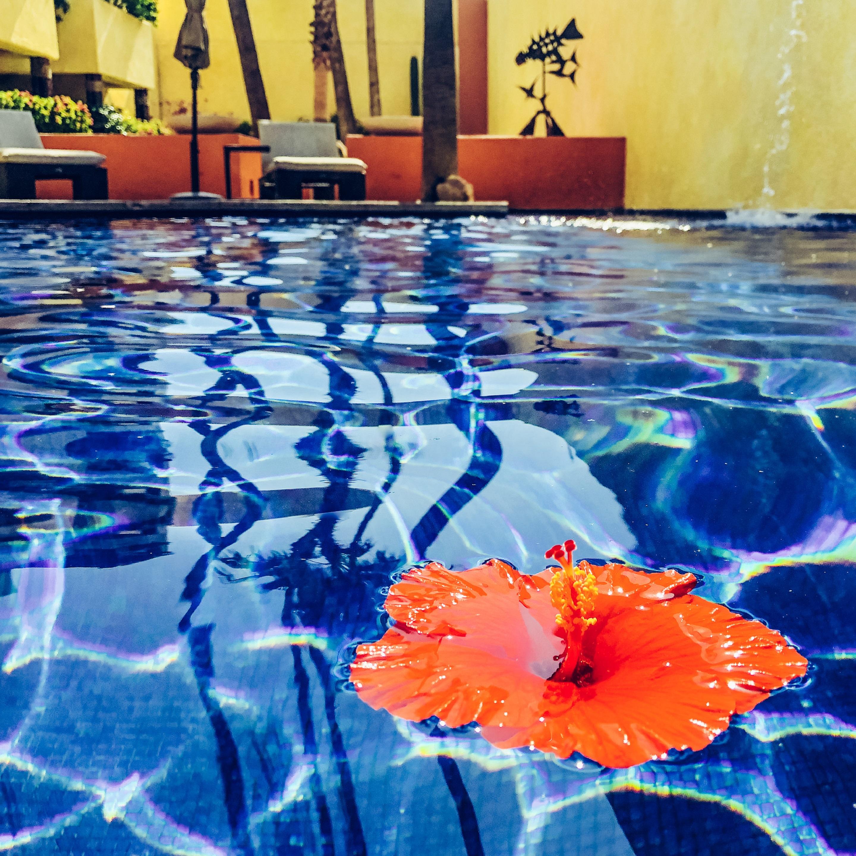 Casa Natalia Boutique Hotel Adults Only San Jose del Cabo Bagian luar foto